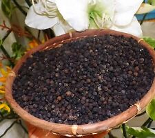 100g Poivre noir  Mananjary Madagascar  Black Pepper  epicerie fine gastronomie