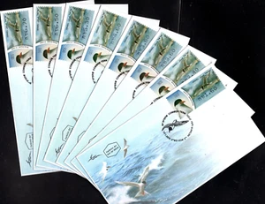 ISRAEL FDC 2010 AVES STERNA HIRUNDO CAJERO AUTOMÁTICO ETIQUETA #001 JUEGO DE 8. X46020 - Imagen 1 de 2