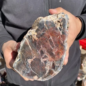 8.3LB Rare Natural petrified wood rough Wood fossil mineral specimen healing - Bild 1 von 18