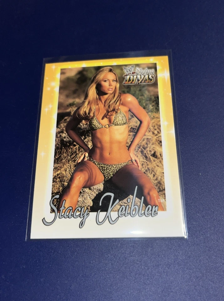 Stacy Keibler 2003 Fleer WWE Divine Divas #31 Foto 1 de 2