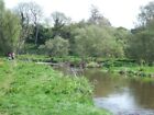 Photo 6X4 River Otter And Riverside Path Ottery St Mary C2011