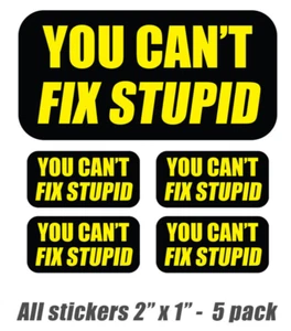 You cant fix stupid funny hard hat sticker truck laptop phone vinyl sarcasm 5pk - Picture 1 of 3