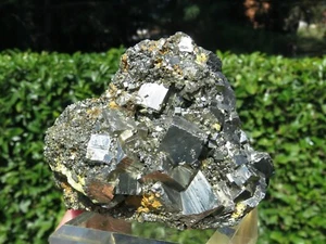 Minerali *** PIRITE PENTAGONALE Gavorrano, Toscana - Imagen 1 de 2