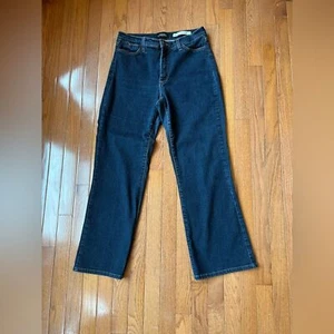 NOT YOUR DAUGHTERS NYDJ JEANS 10 Blue - Picture 1 of 8
