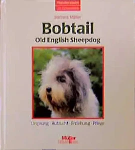 Bobtail Old English Sheepdog - Bild 1 von 1