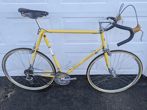 1974 Schwinn Paramount P15 Men's Touring Bicycle - 66CM - Picture 1 of 24