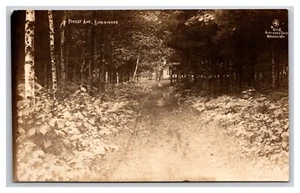 RPPC Forest Ave Straßenansicht Birchwood Wisconsin Nord Foto Co Postkarte Z9 - Bild 1 von 2