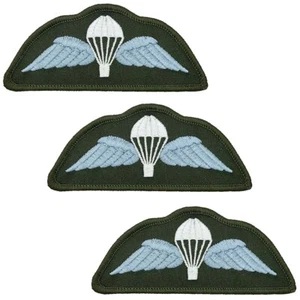 Airborne Para Wings 3 Pack - Hook & Loop Flash Military Cloth Patches - Picture 1 of 7