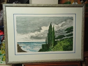 ALBERTO SUGHI LITOGRAFIA PAESAGGIO MARE FIRMATA E NUMERATA CORNICE  95X70 CM - Imagen 1 de 6