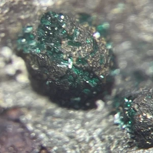 Atacamite Crystal Micro Madonna Di Fucinaia Campiglia ITALY - Picture 1 of 12