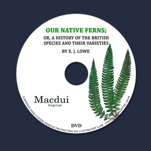 Our native ferns 1865-1867 by Edward Joseph Lowe 2 Pdf E-books 1Data DVD British - Imagen 1 de 12