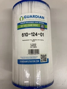 Guardian Pool Filter 610-124, Replaces C-6430, PWK30, FC-3915 - Picture 1 of 2