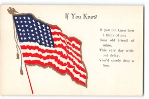 Postal en relieve EE. UU. Bandera, poema patriótico de amistad, Feicke-Desch, c.1910s - Imagen 1 de 2
