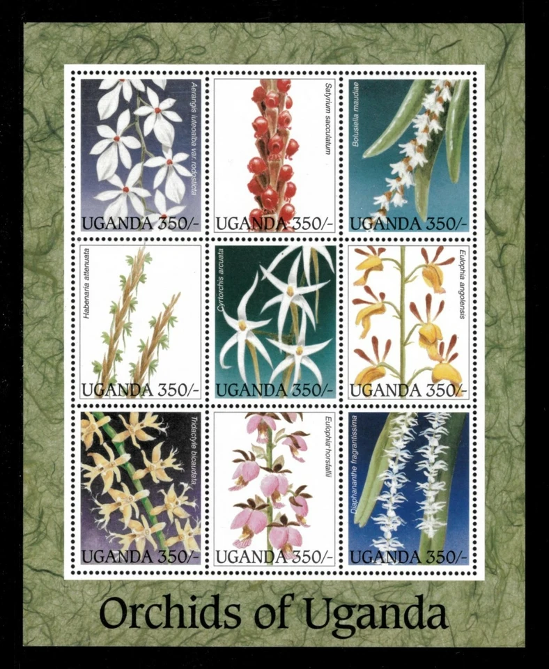 Uganda 1995 - ORCHIDS OF UGANDA - Sheet of 9 (Scott #1389) - MNH - Image 1 of 1