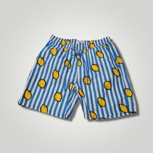 Mr. Swim men's blue white stripe Lemons swim suit Size L New - Picture 1 of 7