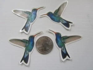 Temporary Tattoos - Set of 4 wrist size Hummingbird (approx. 1.5" each) - Picture 1 of 1