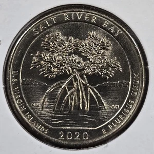2020 D Salt River Bay Quarter Improperly Annealed Planchette Error - Picture 1 of 4