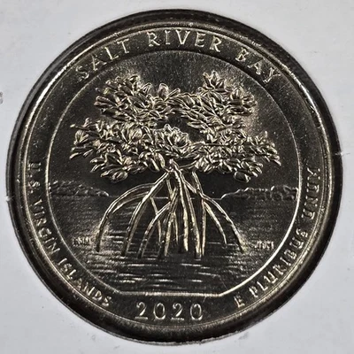2020 D Salt River Bay Quarter Improperly Annealed Planchette Error - Image 1 of 4