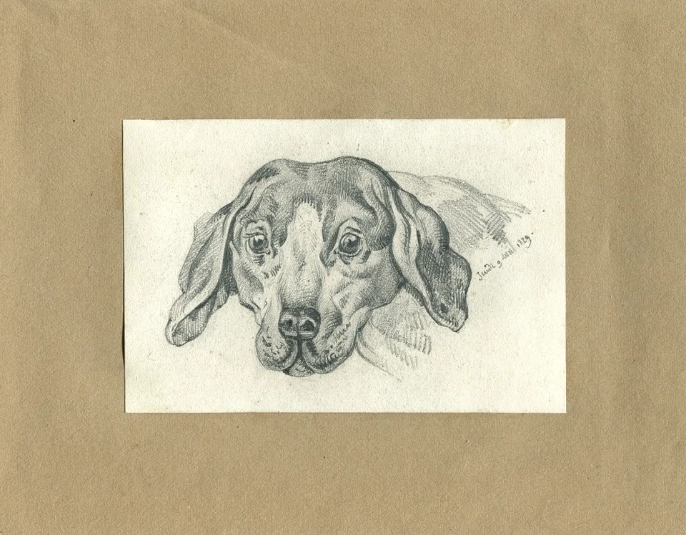 Portrait de chien , daté 1829 - Dessin original ancien - Photo 1/1