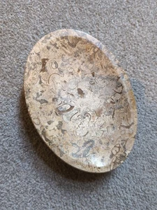 Soap dish hand carved fossilstone - Picture 1 of 5