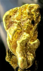 Pepita de oro puro natural genuina de 0,692 gramos Alaskan Yukon BC #AK303 - Imagen 1 de 5