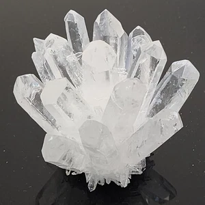 KCGS Clear Quartz Crystal Cactus Cluster Brazil #0106 - Picture 1 of 16