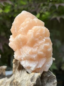 Peach Orange Stillbite Flower Pointed Cluster Crystal AAA+ Z102 - Picture 1 of 10