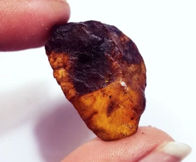 Lose Edelstein 100% Natürlicher Bernstein Roh 16,35 Ct Mit Kostenlosem Geschenk - Bild 1 von 4