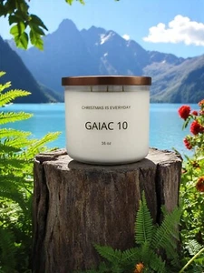 GAIAC 10 Le' Labo type (dupe)  By CHRISTMAS is EVERYDAY candles 16 oz - Picture 1 of 2