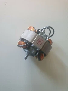 Elektromotor 110 Volt     VE 10 Stück  Doppelwelle  900 80 002 - Picture 1 of 5