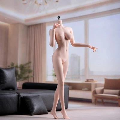 ANT T303B 1/6 淡色中号乳房超灵活 12 英寸女性可动人偶身体 — 第 1/4 张图片