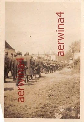 Los franceses van en cautiverio en Francia - Imagen 1 de 2