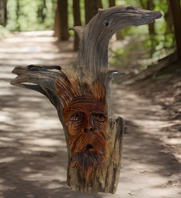 Madera a la deriva tallada a mano cara de hombre independiente 12" rústica natural única en su clase Foto 1 de 4