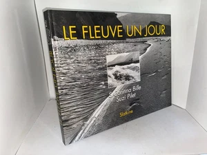 Suzi Pilet Der Fluss eines Tages - Rhône - Bild 1 von 3