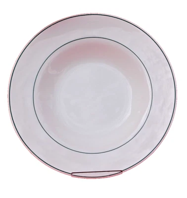 Juego de 10 cuencos para pasta Arcoroc recepción con banda verde 14570 11 1/4" M4386 Foto 1 de 4