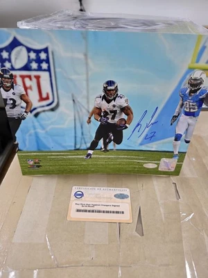 Foto Steiner 8x10 firmada por Ray Rice Baltimore Ravens Run vs Chargers holograma  Foto 1 de 4
