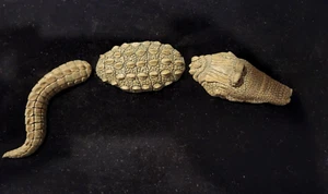1998 Boyds Bears & Friends Desk Animals 380000 Ray Crocodopius Sophocles w/Box - Picture 1 of 9