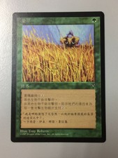 Elephant Grass T-Chinese Asian MTG Visions NM