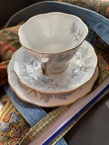 royal albert silver maple cup saucer and plate - Picture 1 of 2