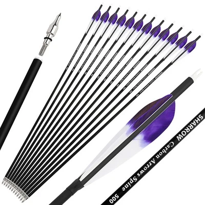 28" 30" 31" Carbon Arrows SP500 100gr Screw Archery Compound Recurve Bow Hunting - Image 1 of 4