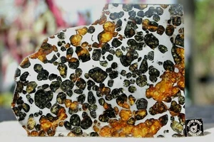 Sericho Pallasite Meteorite from Kenya Africa Habaswein 581.7g partial end cut - Picture 1 of 5