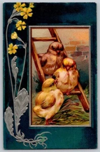 Vintage Spring Easter baby chics embossed daffodils postcard - Picture 1 of 2