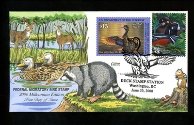 US FDC #RW67 Federal Duck Collins Hand Painted HP 2000 Washington DC Mottled HC - Image 1 of 2