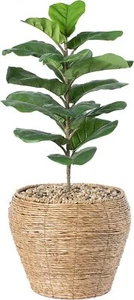 Large Woven Planter Basket with Plastic Liner - Picture 1 of 5