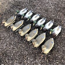 Sport Plast Carry-Lite Duck Decoys Lot of 12 (6 M, 6 F) Made in Italy Semi-Alert