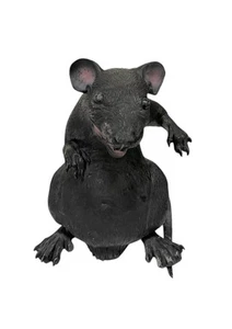 Momentum Brands Fake Plastic Standing Black Rat 12 Halloween Haunted House Decor - Picture 1 of 12