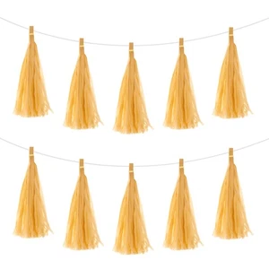 25Pcs Dark Yellow Tassel Garland Banner with Rope - Picture 1 of 7