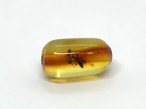 Amber Barrel Bead INSECT DRILLED For Bracelet Necklace Baltic Fossil 0,4g 19062 - Picture 1 of 20