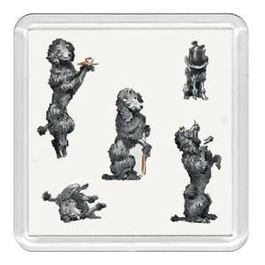 Poodle Dogs in Various Poses Dog Acrylic Coaster Novelty Drink Cup Mat Gift - Bild 1 von 1