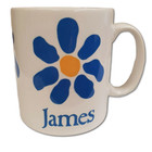 James the band Cup Mug Tim Booth Sit Down Born of Frustration Manchester Daisy